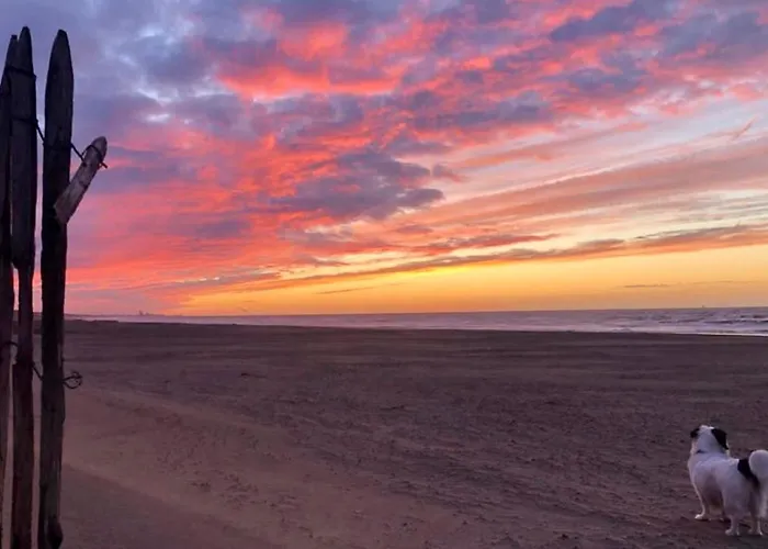 Beach House For You - Luxe Verblijf, 5 Min Van Het Strand